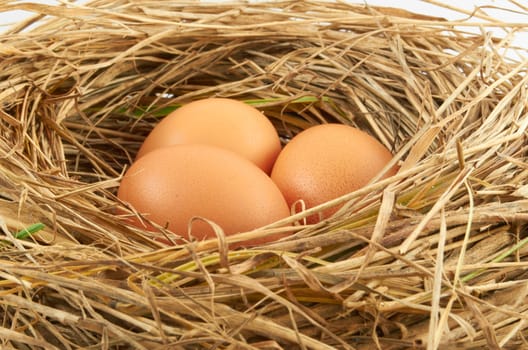 Three brown chicken eggs in a straw nest