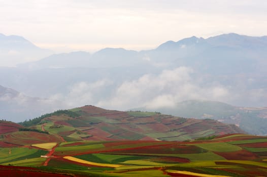 Fields landscapes in Yunnan Province, southwest of China