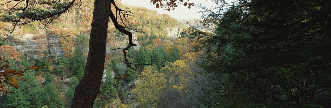 Panoramic landscape