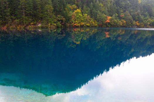 Forest and Lake in Jiuzhaigou, Sichuan province of China