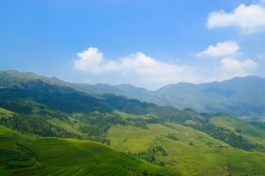 Scenic view of agricultural fields in countryside of Guangxi province, China