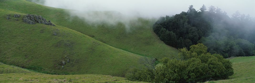 Panoramic landscape