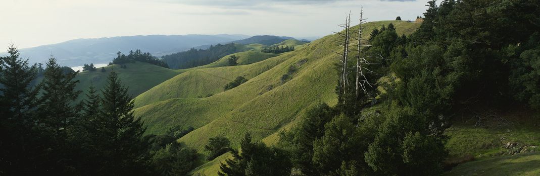 Panoramic landscape