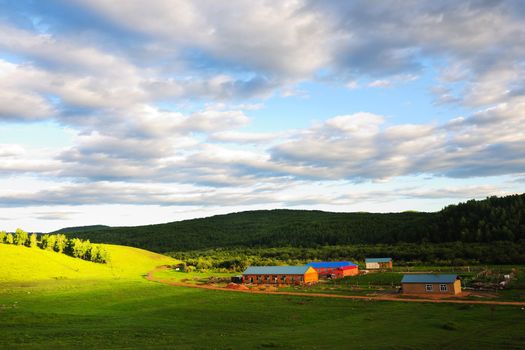 Grassland in Hulun Buir League of Inner-Mongolia, China