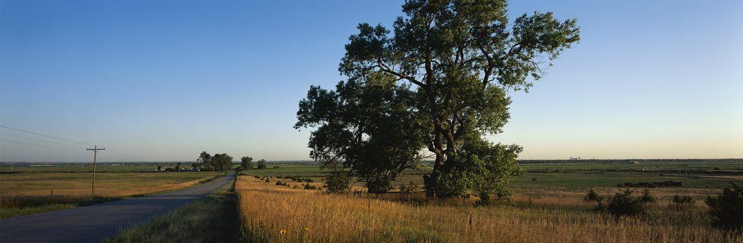 Panoramic landscape