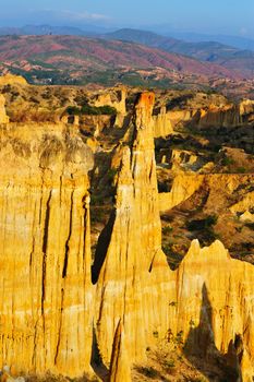 Soil forest in Yunnan province, China