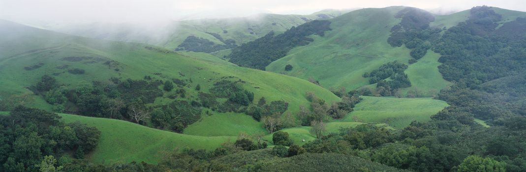 Panoramic landscape