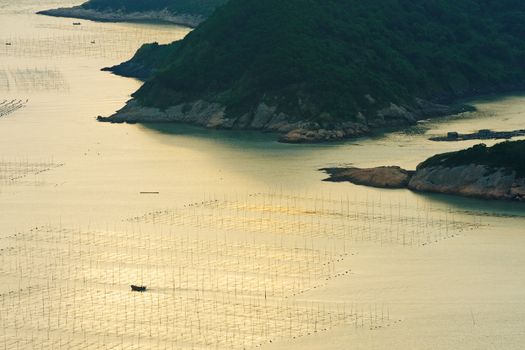 Ocean seaweed farm in Fujian province of China