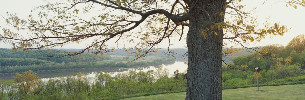 Panoramic landscape