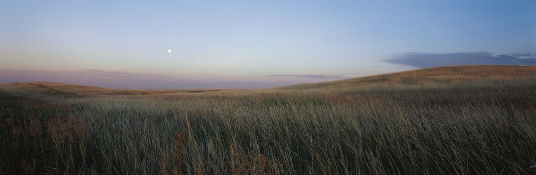 Panoramic landscape