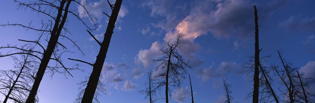 Panoramic landscape