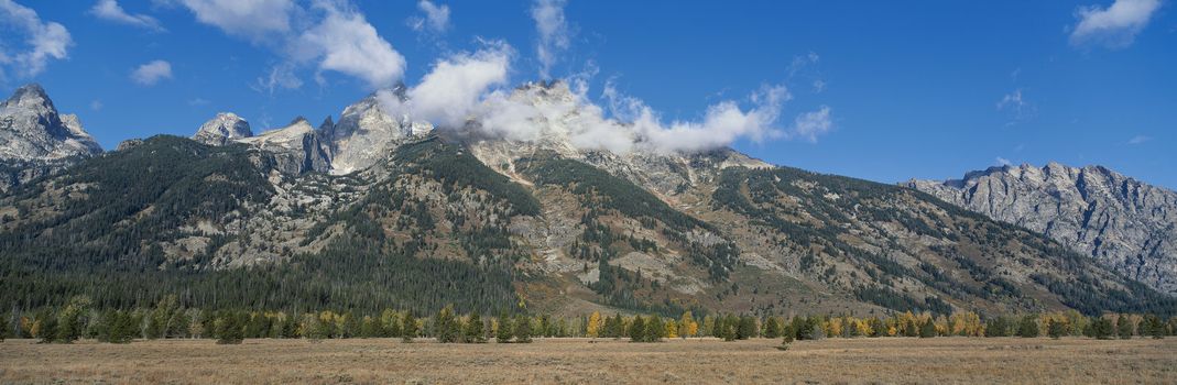 Panoramic landscape