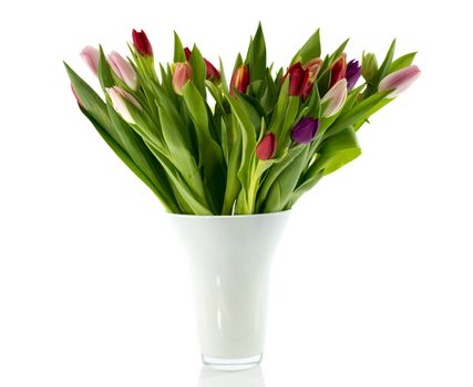 bouquet of tulips in white vase isolated