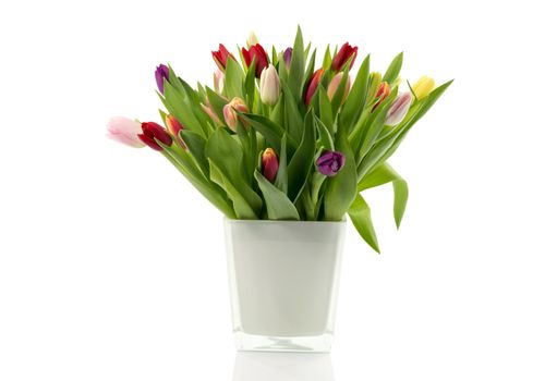 bouquet of tulips in white vase isolated