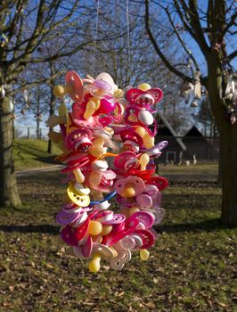 Colorful pacifiers hanged in a tree in the park by small childildren from a day nursery trying to stop using them.