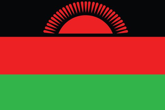 An Illustrated Drawing of the flag of Malawi