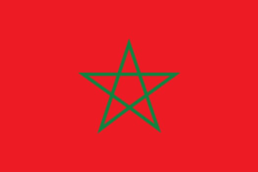 An Illustrated Drawing of the flag of Morocco