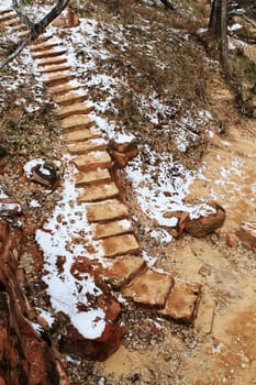 Ladder in Zion Canyon National Park, Utah, USA