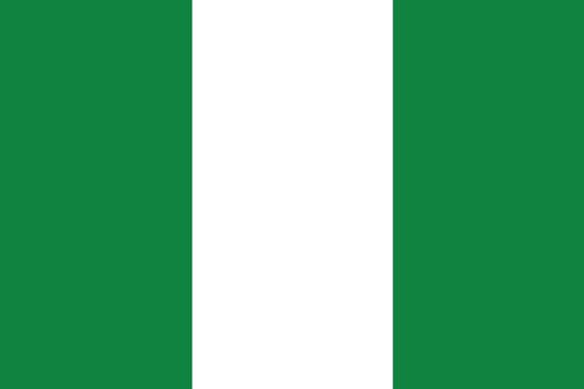 An Illustrated Drawing of the flag of Nigeria