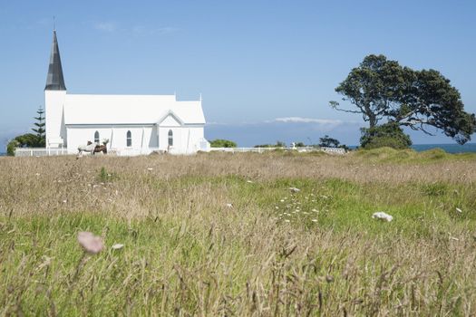 Traditional white church with horses outside in remote location
