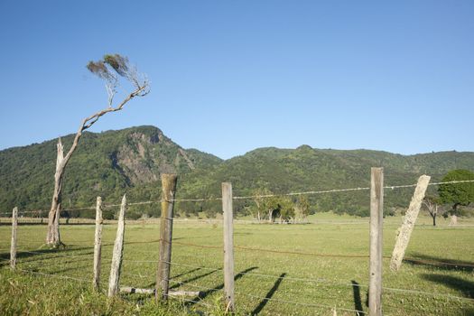 Rural scene, bush clad hills in background.