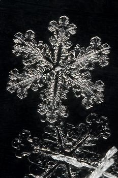 An extreme close up of individual snow flake