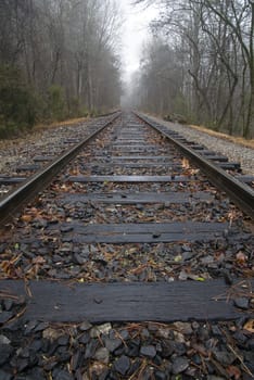 Train tracks leading into misty woods