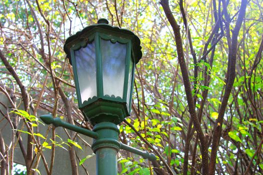 Old vintage street light in garden