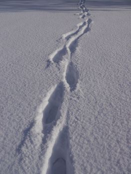 path with shoe prints in winter landscape