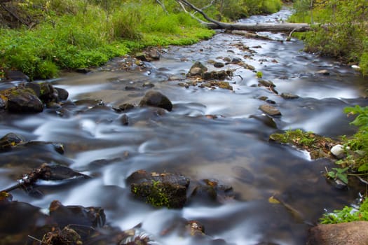 The Flowing Water of Osceola Creek