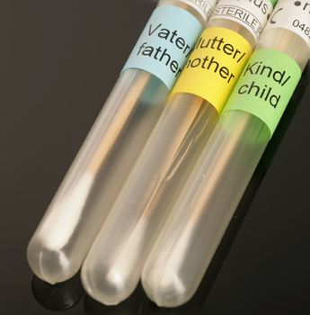 test tubes for a paternity test studio