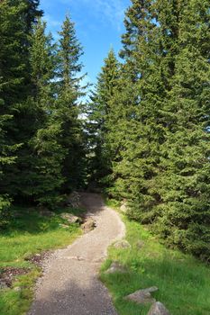 beautiful footpath in Italian Dolomites, Trentino, Italy