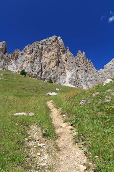 path and meadow beneath Cir Dolomites, Trentino Alto Adige, Italy