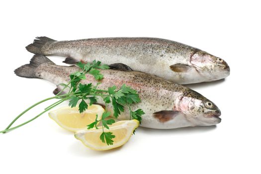 two rainbow trouts with lemon and parsley over white background