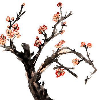 Chinese traditional ink painting, red plum blossom on white background.