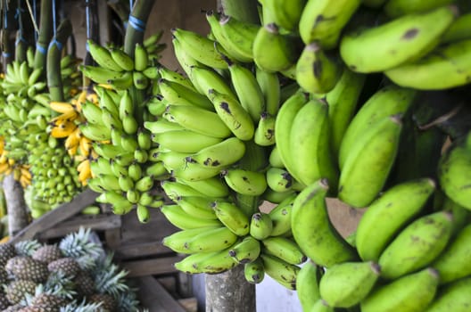 Bananas and pineapples in a countryside fruit stand