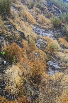 Patterns of dry grass on a rocky mountain 