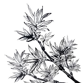 Chinese traditional ink painting, bamboo on white background.