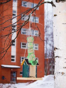 Bird feeding house, and fat balls for birds, hanging from a birch tree