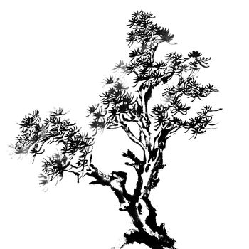 Chinese traditional ink painting, pine tree on white background.