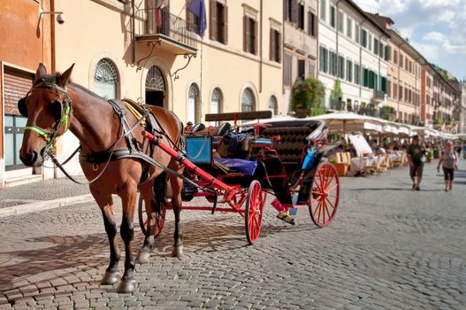 Horse and coach waiting at Piazza Navona - buildings background - Roma - Italy