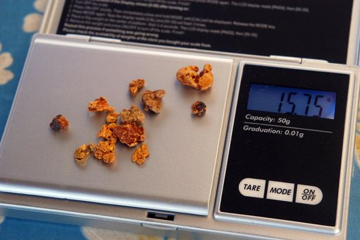 gold nuggets found in the Australian bush