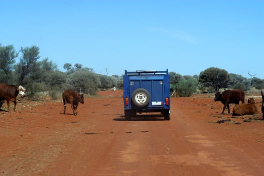 On the track in the Australian bush