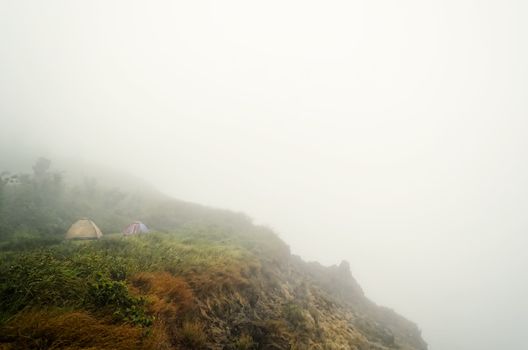 Tents of campers in foggy mountain near cliff
