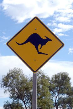 Danger kangaroo