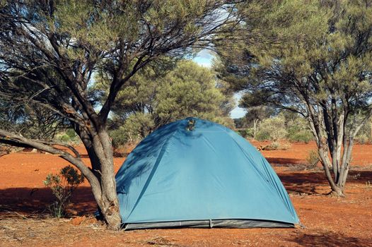 wilderness camping in the Australian bush