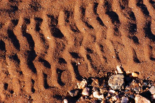 tire tracks in the Australian bush