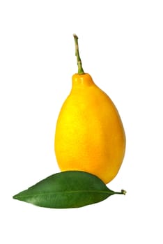 Juicy yellow lemon with green leaf isolated on white background.