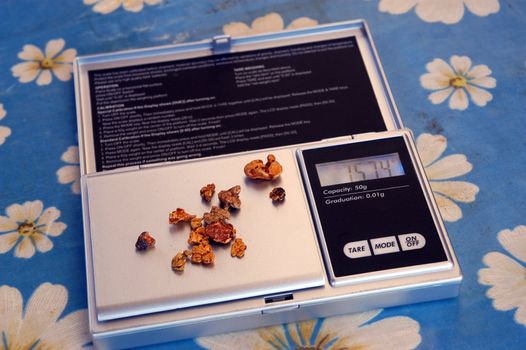 gold nuggets found in the Australian bush