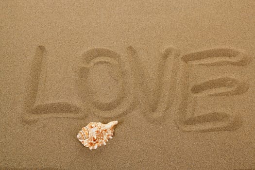 love message with seashell written in sand